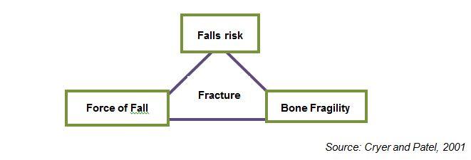 The Fracture Prevention Triangle